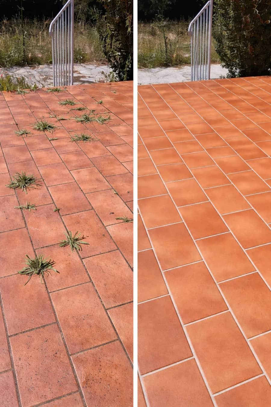 Avant/après : désherbage et nettoyage d'une terrasse en terre cuite à Martigues